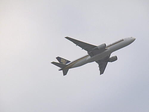 20091112 朝の飛行機.jpg