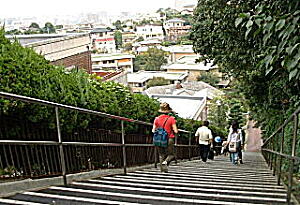 鴻巣山からＡ・階段.JPG