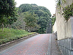 鴻巣山からＡ・階段2.JPG
